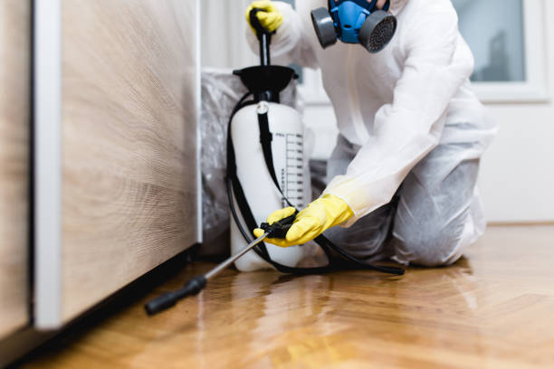Best Residential Pest Control  in Parsons, KS