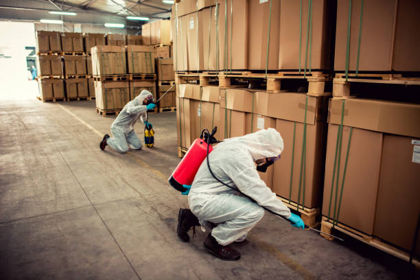 Trusted Parsons, KS Pest Control Experts