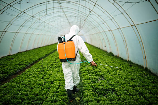 Best Pest Inspection Near Me  in Parsons, KS