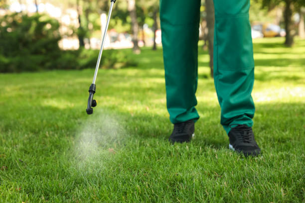 Best Best Pest Control Near Me  in Parsons, KS