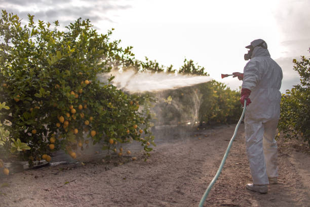 Best Pest Removal Services  in Parsons, KS