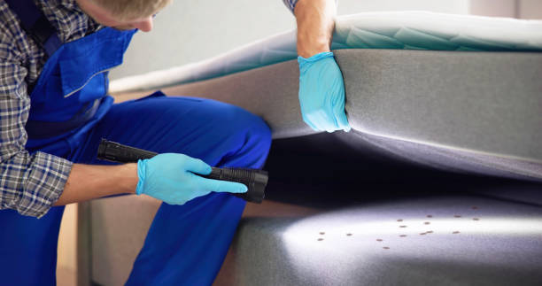 Best Affordable Pest Control Services  in Parsons, KS