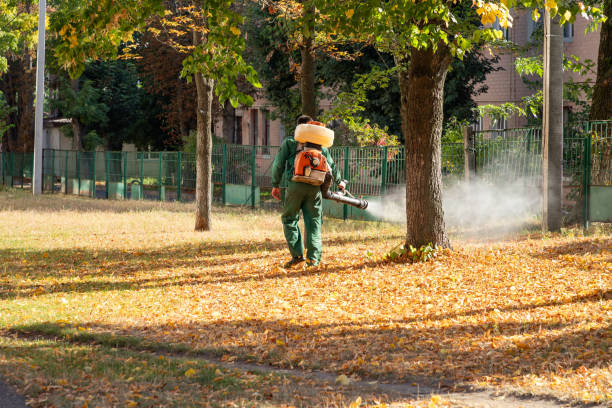 Best Cockroach Control Services  in Parsons, KS